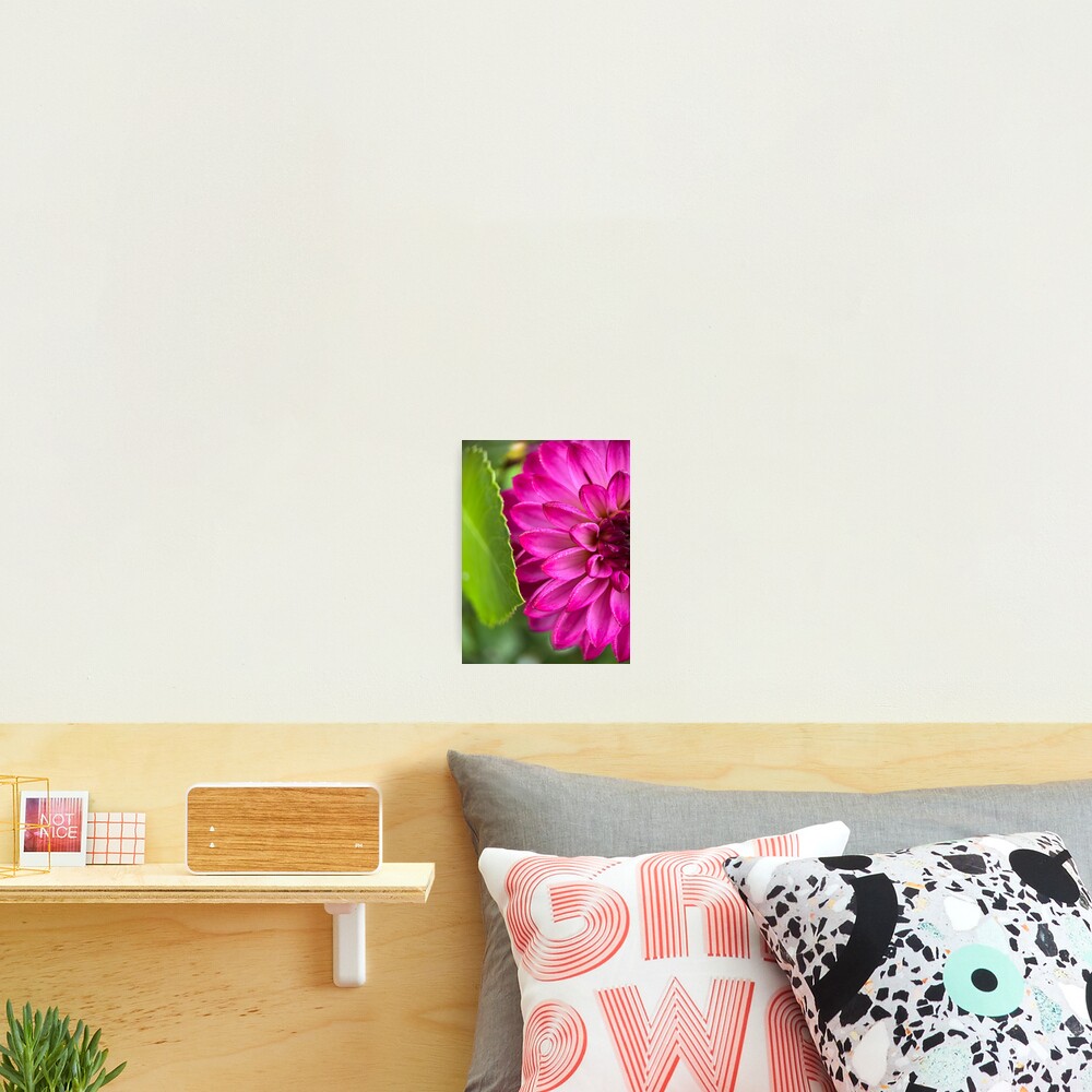 Item preview, Photographic Print designed and sold by idlewildblooms.
