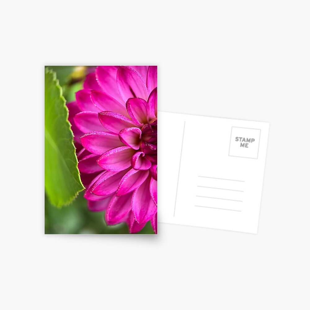 Item preview, Postcard designed and sold by idlewildblooms.