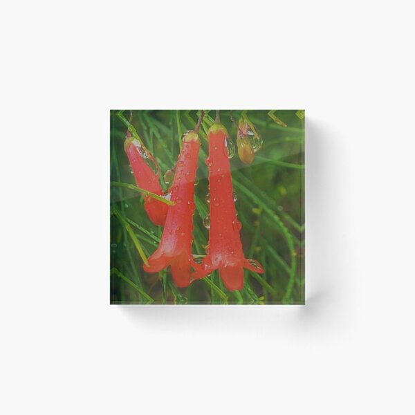 Item preview, Red Raindrops designed and sold by KBarrett-ForAwe.