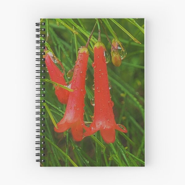 Item preview, Red Raindrops designed and sold by KBarrett-ForAwe.