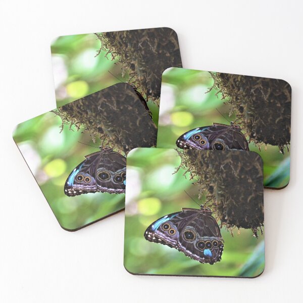 Item preview, Nature's Pattern designed and sold by KBarrett-ForAwe.
