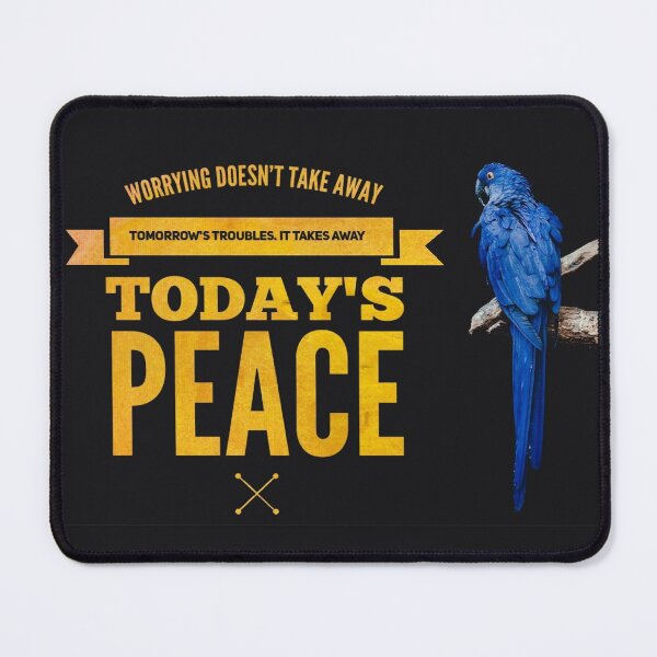 Item preview, Worrying dosen't take away designed and sold by ProFoot.