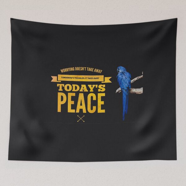 Item preview, Worrying dosen't take away  designed and sold by ProFoot.