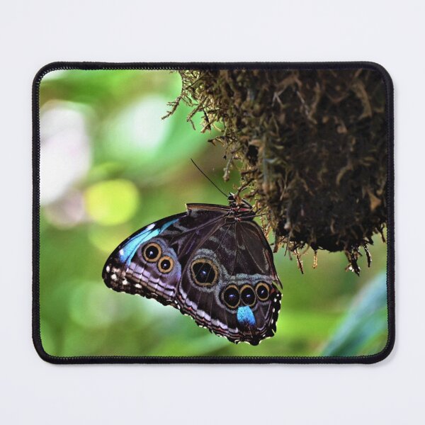 Item preview, Nature's Pattern designed and sold by KBarrett-ForAwe.