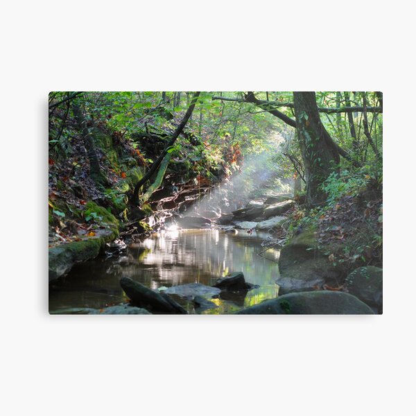 Preserve Light Metal Print