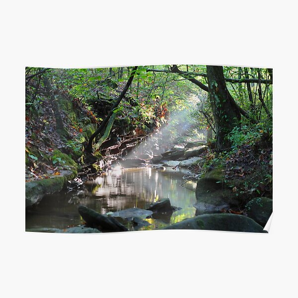 Preserve Light Poster