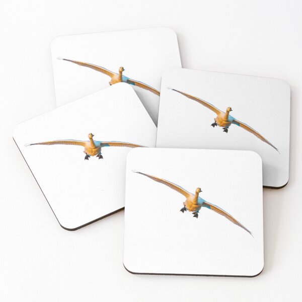 Item preview, Bewicks Swan getting ready to land designed and sold by Dalyndigital Photography.