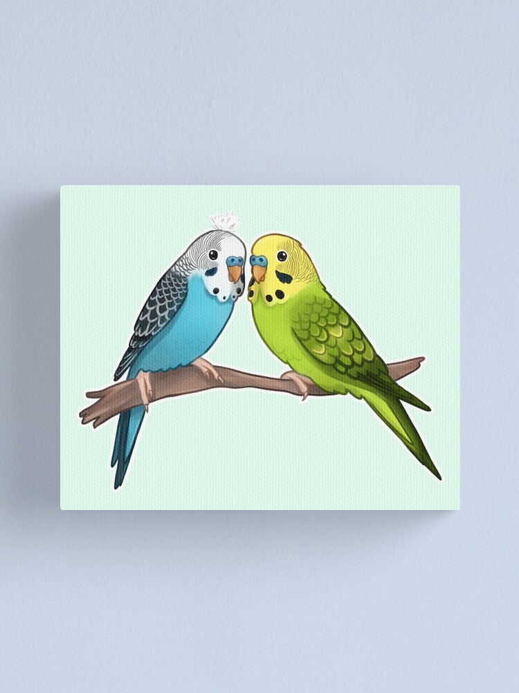 Budgies, Animal art, love, two birds bird artwork, bird pet Art