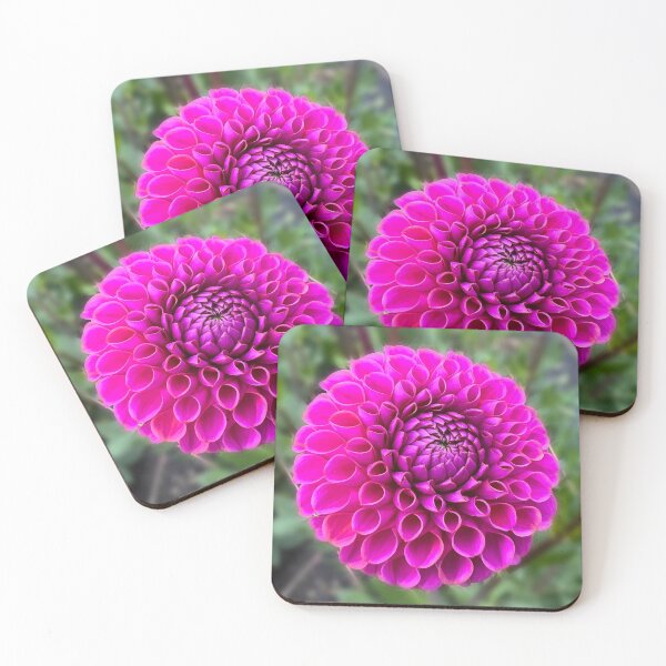 Item preview, Isabel Dahlia Flower - Pink Dahlia Flower designed and sold by idlewildblooms.