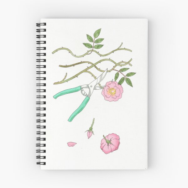 Item preview, Rose on the Vine ink and watercolor illustration designed and sold by Hynek Šnajdr.