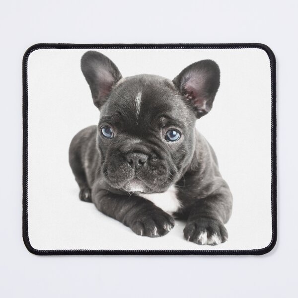 Item preview, Cutie designed and sold by ernest123.