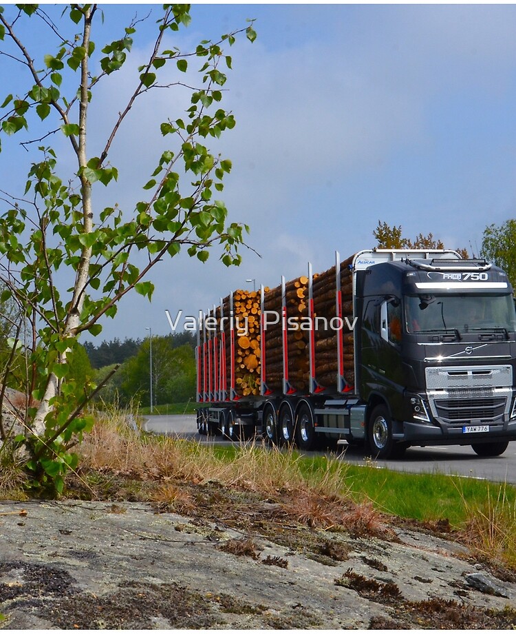 Construction truck Volvo FMX iPad Case & Skin for Sale by Valeriy Pisanov