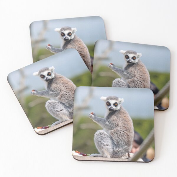 Item preview, Lemur lunch designed and sold by GreyFeatherPhot.