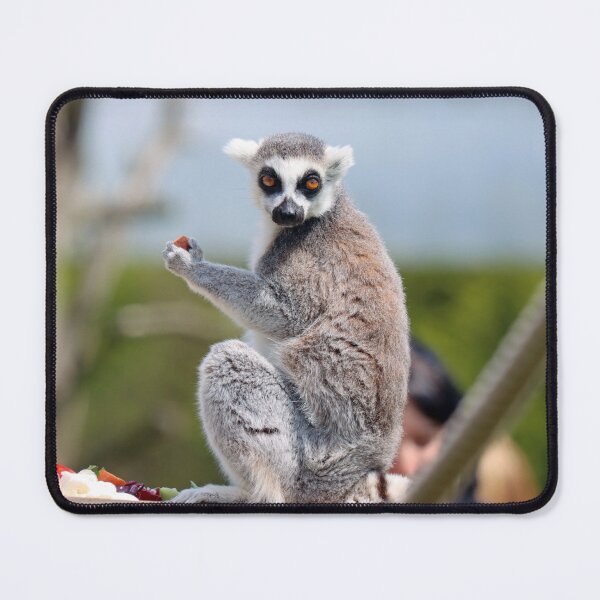 Item preview, Lemur lunch designed and sold by GreyFeatherPhot.