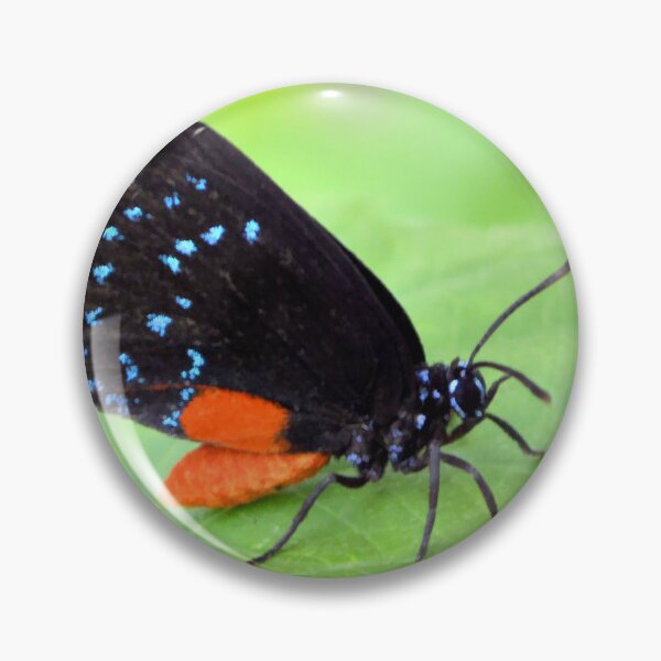 Item preview, Florida Atala Butterfly designed and sold by What I See by Dawne.