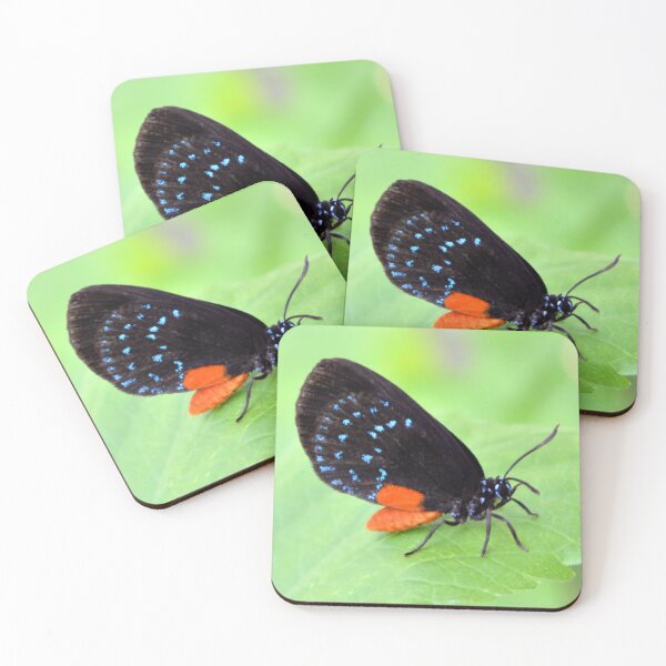 Item preview, Florida Atala Butterfly designed and sold by What I See by Dawne.