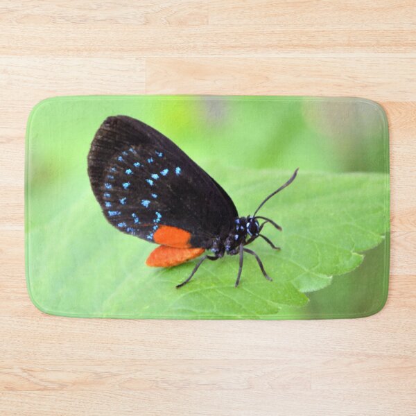 Item preview, Florida Atala Butterfly designed and sold by What I See by Dawne.