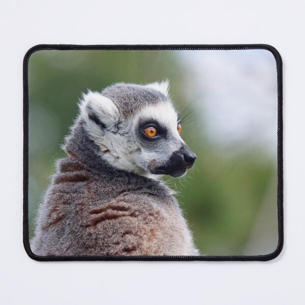 Item preview, Ring tailed lemur portrait designed and sold by GreyFeatherPhot.