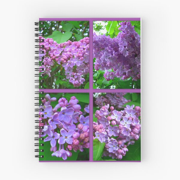 Item preview, Lilac  designed and sold by angel1.