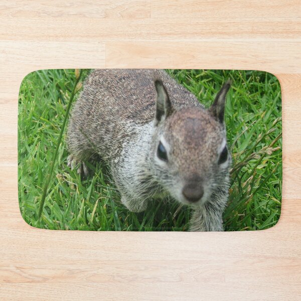 Item preview, He Walked Right Up To Me! designed and sold by heatherfriedman.