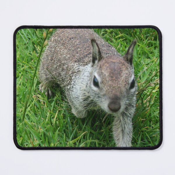 Item preview, He Walked Right Up To Me! designed and sold by heatherfriedman.
