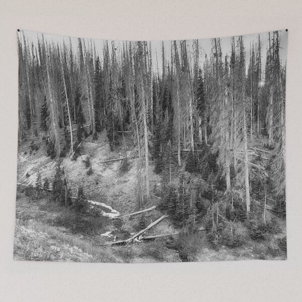 Item preview, Rocky Mountain High Elevation Forest Large Panorama designed and sold by Bo Insogna.