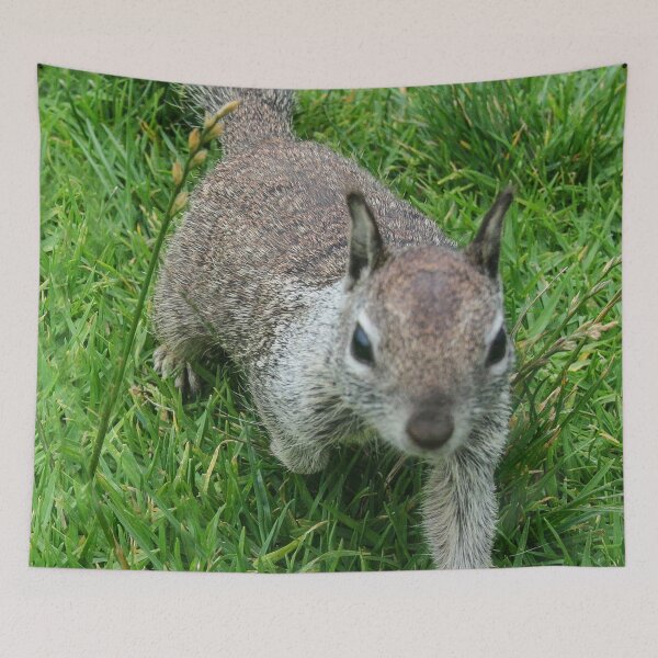 Item preview, He Walked Right Up To Me! designed and sold by heatherfriedman.