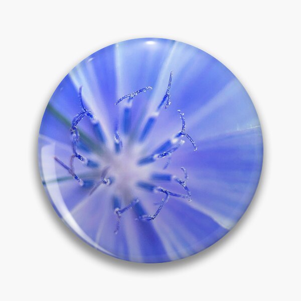 Item preview, Chicory designed and sold by Jason Tompkins.