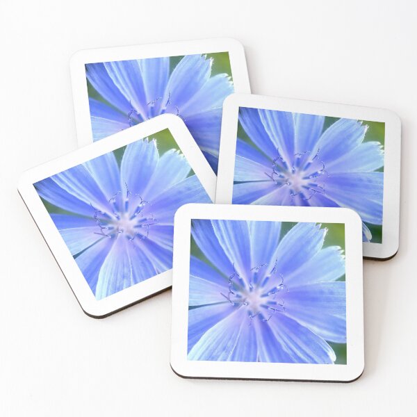 Item preview, Chicory designed and sold by Jason Tompkins.