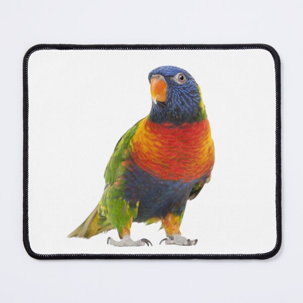 Item preview, Parrot designed and sold by EndangeredFotos.