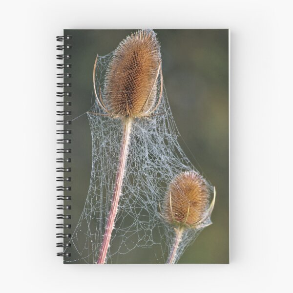 Item preview, Nature's lacework designed and sold by ron adams.