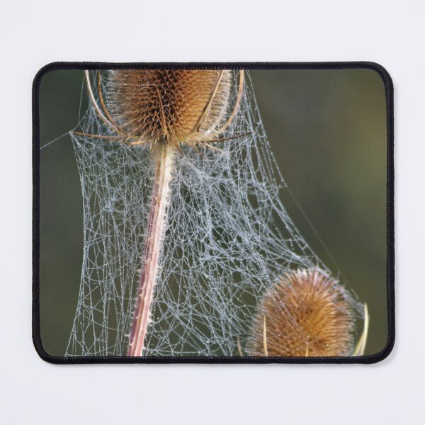 Item preview, Nature's lacework designed and sold by ron adams.