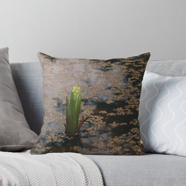 Item preview, Cine Pond designed and sold by Jacob Schouten.