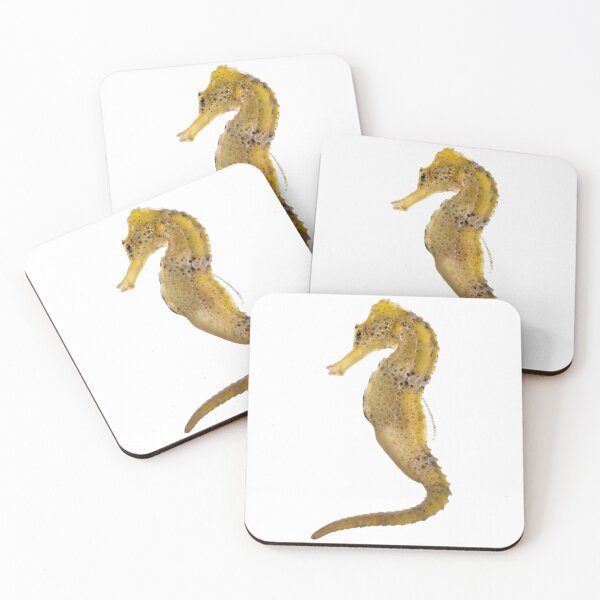 Item preview, Sea horse designed and sold by EndangeredFotos.