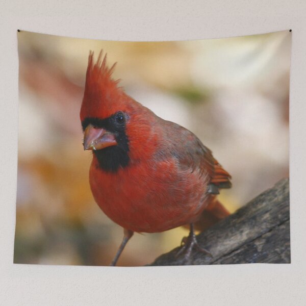 Item preview, Northern Cardinal designed and sold by Enola Gay Wagner.