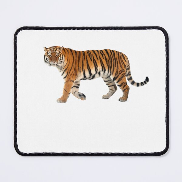 Item preview, Siberian tiger designed and sold by EndangeredFotos.