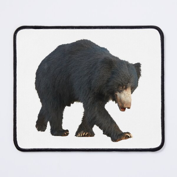 Item preview, Sloth bear designed and sold by EndangeredFotos.