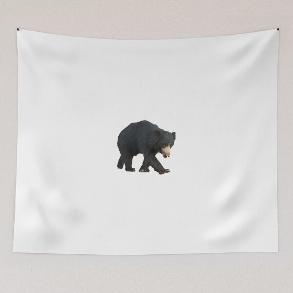 Item preview, Sloth bear designed and sold by EndangeredFotos.