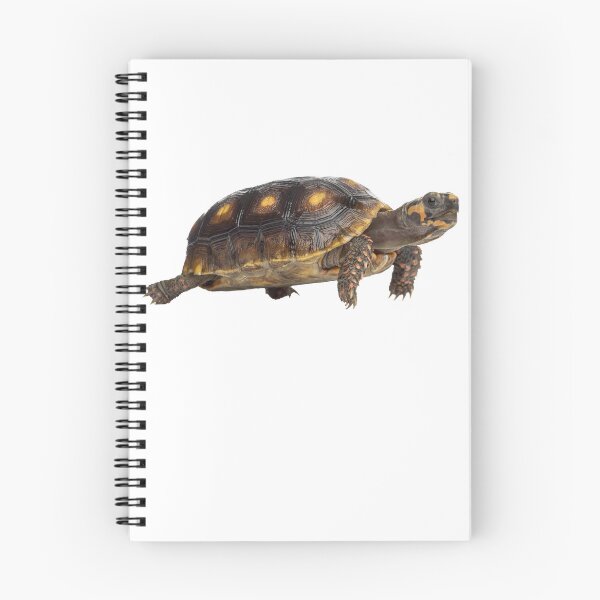 Item preview, Tortoise designed and sold by EndangeredFotos.