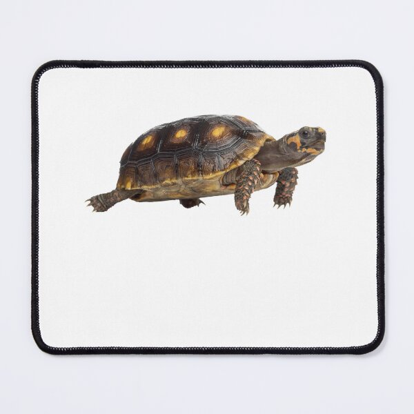 Item preview, Tortoise designed and sold by EndangeredFotos.