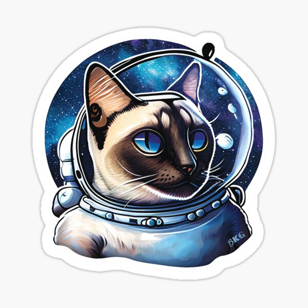 SPACECAT #9 | BKG Official! Glossy Sticker