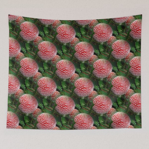 Item preview, Todo el mundo ama las setas designed and sold by AdioraStore.