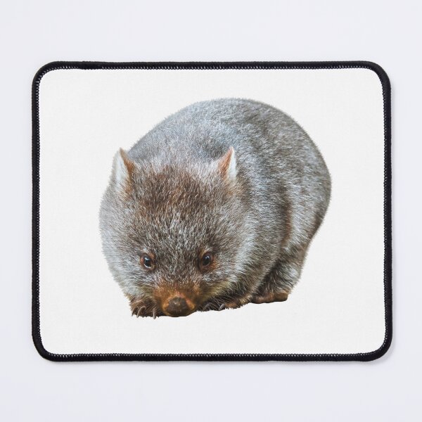 Item preview, Wombat designed and sold by EndangeredFotos.
