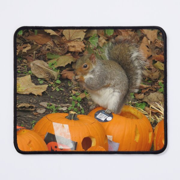 Item preview, Judging the competition designed and sold by Sandra Willis.