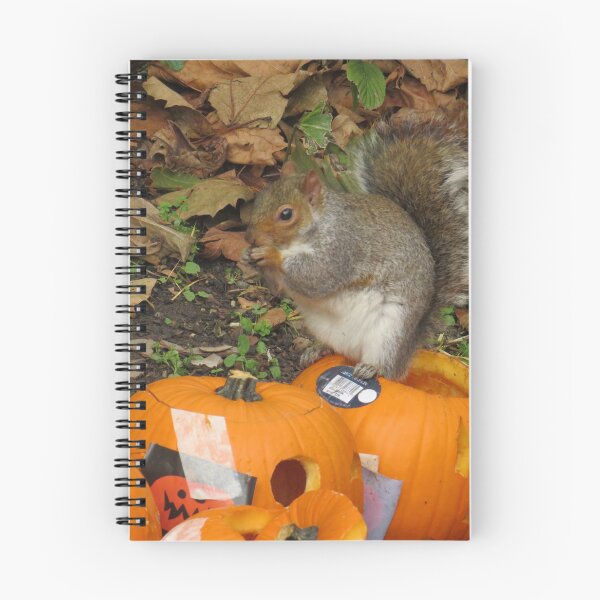 Item preview, Judging the competition  designed and sold by Sandra Willis.