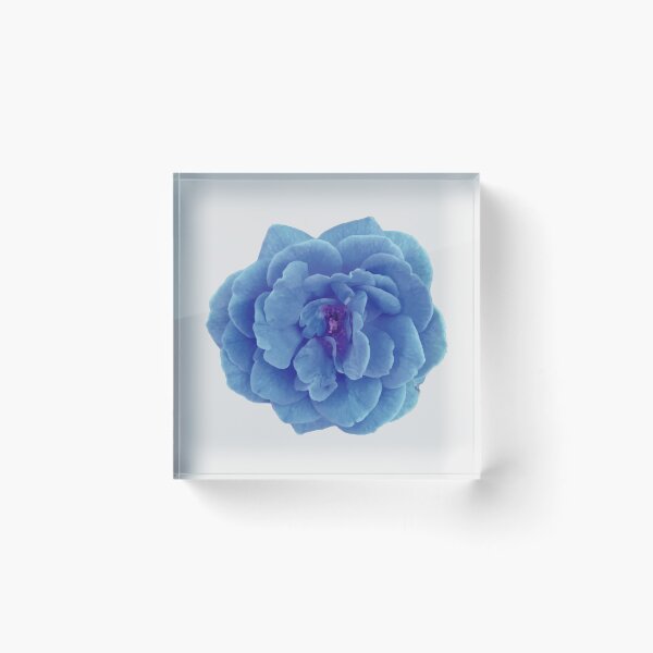 Item preview, Flower Spirits In The Forest designed and sold by THROUGH-LIFE.