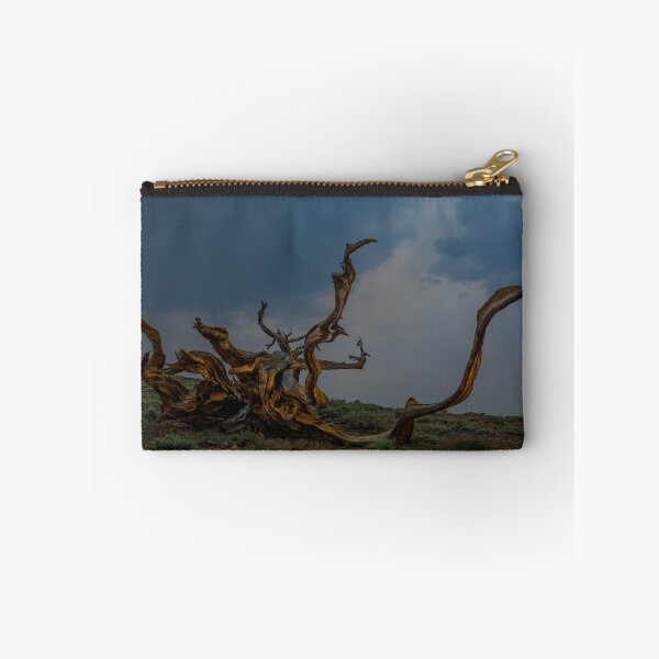 Item preview, Fallen  designed and sold by photosbyflood.