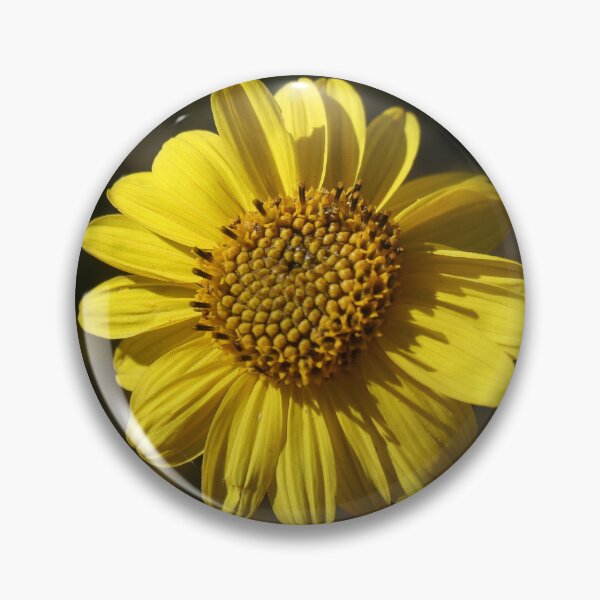Item preview, A Shining Light in Mother Nature's Garden  designed and sold by heatherfriedman.