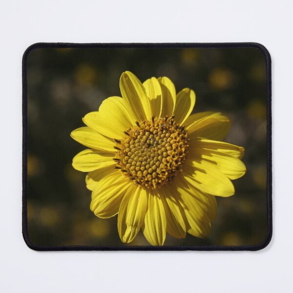 Item preview, A Shining Light in Mother Nature's Garden designed and sold by heatherfriedman.