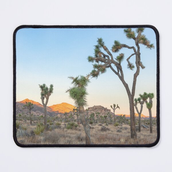 Item preview, Joshua Trees Morning designed and sold by jvnimages.